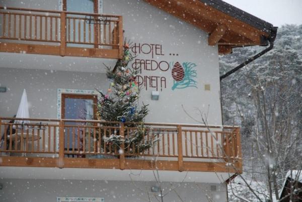 Hotel Faedo Pineta Стая снимка