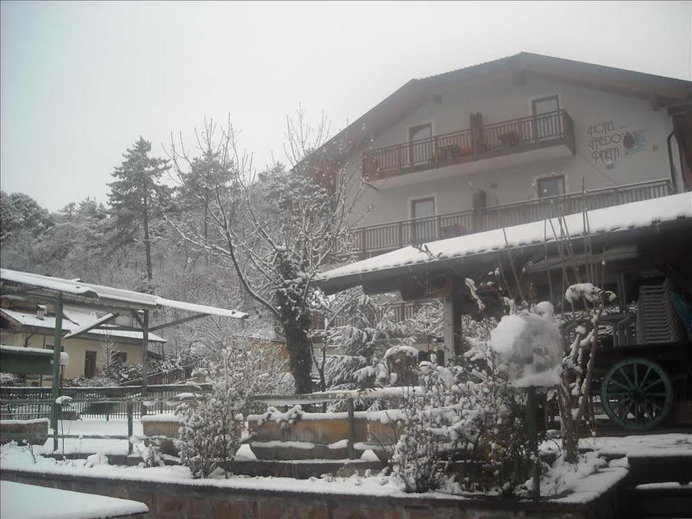 Hotel Faedo Pineta Екстериор снимка